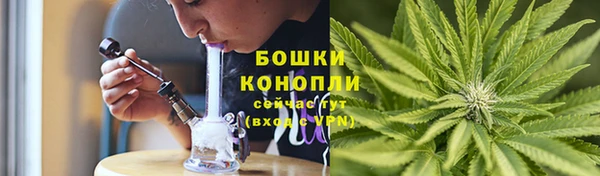 прущие крисы Надым