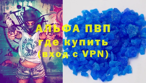 сатива Алексеевка