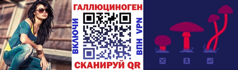 Галлюциногенные грибы Psilocybe  как найти   Оленегорск 